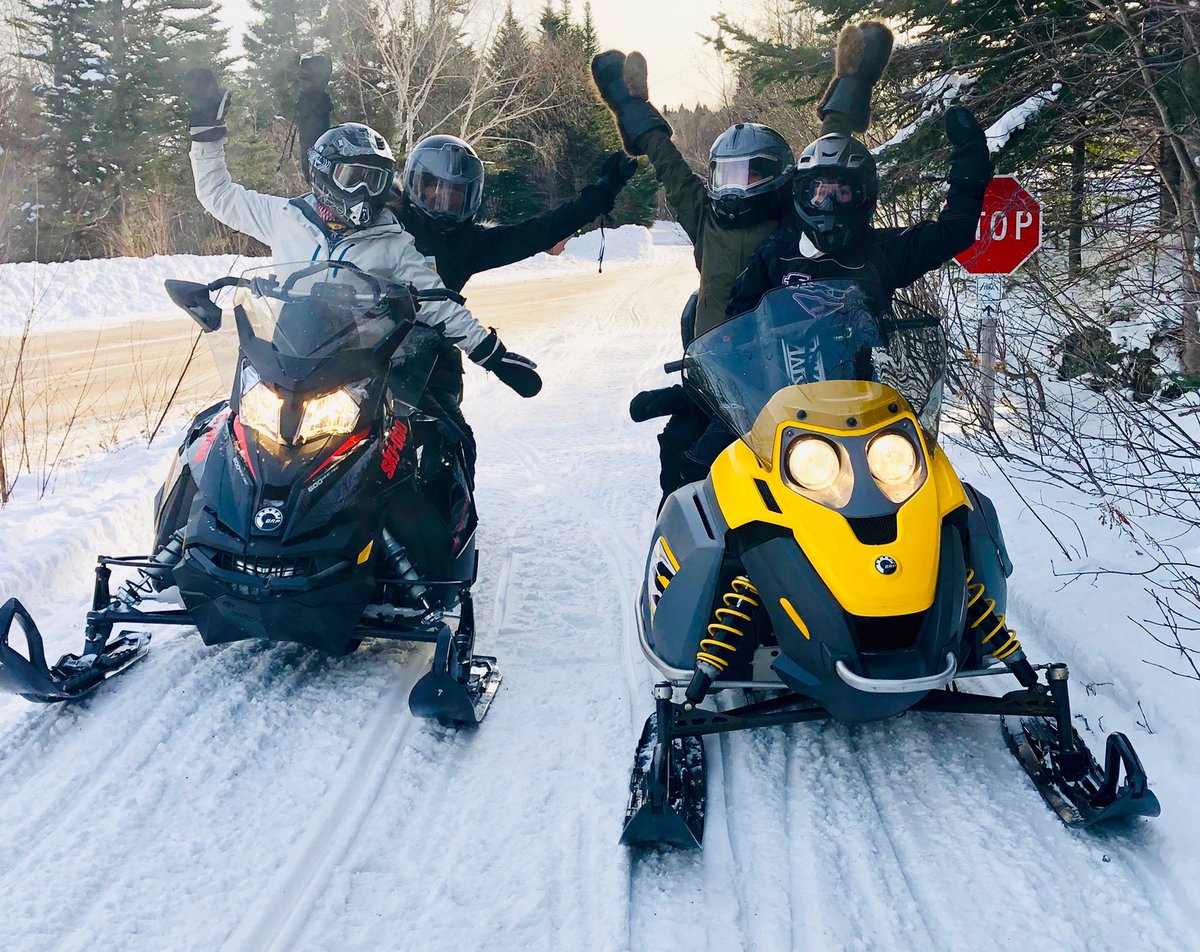 Melissa Royle (@melissaroyle) | Twitter