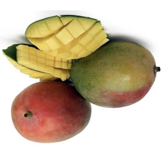 FitzSalad's tweet photo. @RadishSouls @GoodGuyFitz Mango nu-uh https://t.co/LugCF1Eunk