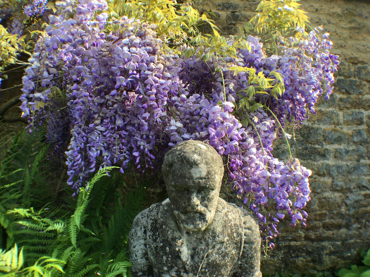 CCharmanNT's tweet photo. You know you want to .......

Fantastic opportunity to be the next Head Gardener @HidcoteNT 
#greatplace #fantastcteam #oppotunityofalifetime 

https://t.co/q3VQ78lL9t https://t.co/AMmmMhlUzi