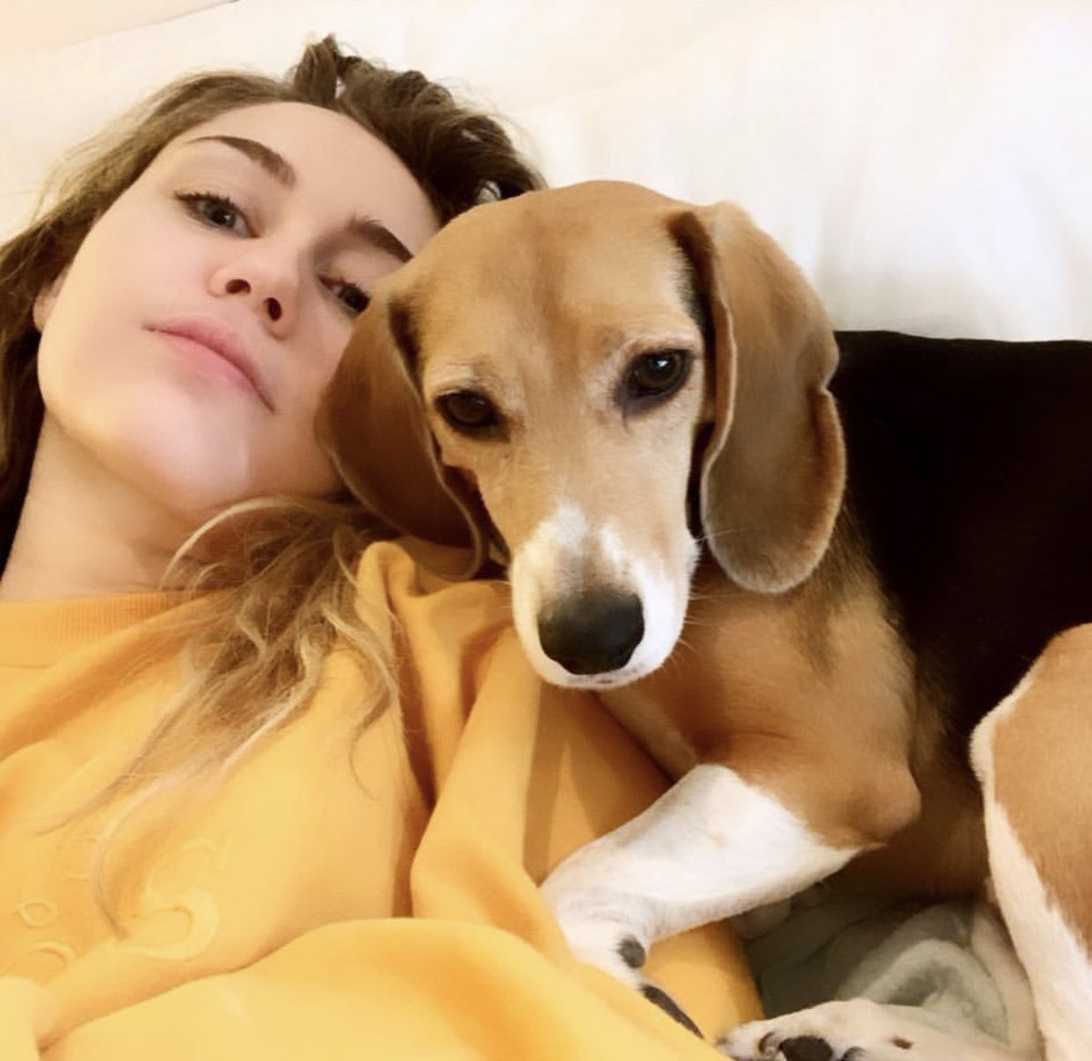 Lazyyyy Dazzzze w Little Dog 💛💛💛 https://t.co/B4kFoercLR