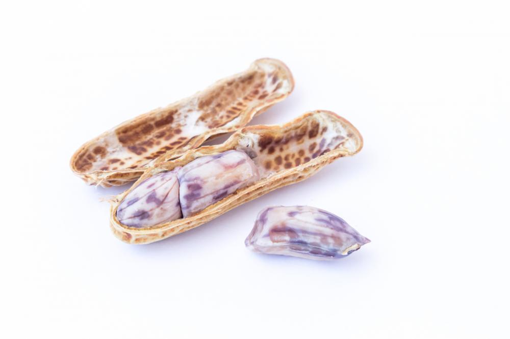 TootiesPeanuts's tweet photo. With a handful of flavors to choose from, our #BoiledPeanuts can are sure to satisfy and taste! Order your bag today! https://t.co/QxPwyaFsTk https://t.co/PRBZlR6ew6