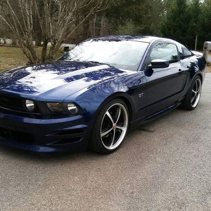 Sitting pretty! 

📷 Photo credit: <a href="/mikem1164/">LokenWarrior</a>