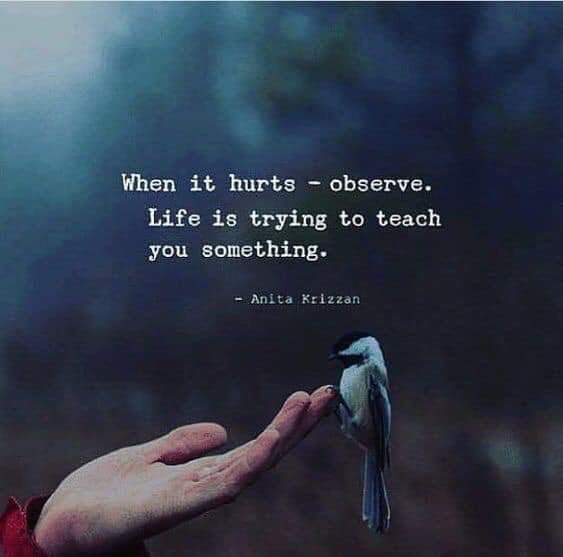 Amy Matney (@amylmatney) on Twitter photo 