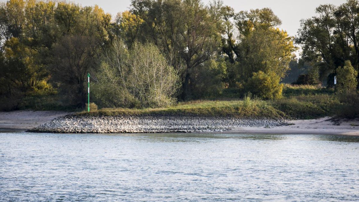 🤔 RT <a href="/zeelandweb/">Zeelandweb community</a>: Zoektocht naar meerdere vermisten roeiboot op Nederrijn bij Wageningen dlvr.it/Qx65QY