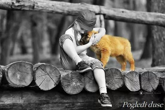 Sumnjicav sam prema ljudima koji ne vole pse, ali verujem psu koji ne voli neku osobu. 
Bil Marej