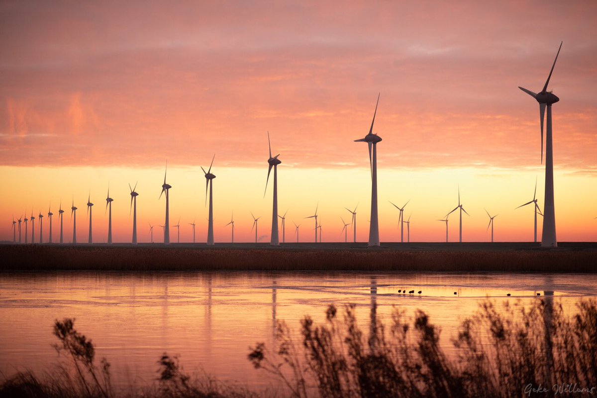 gekewillems's tweet image. Nice Winter-Sunset 🌅 #westermeerwind #nopagrowind #sunset #noordoostpolder