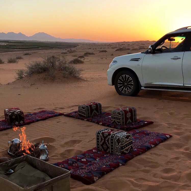 _mods7's tweet image. #اجمل_وافضل_مدينه_زرتها

حـايل ♥️♥️♥️