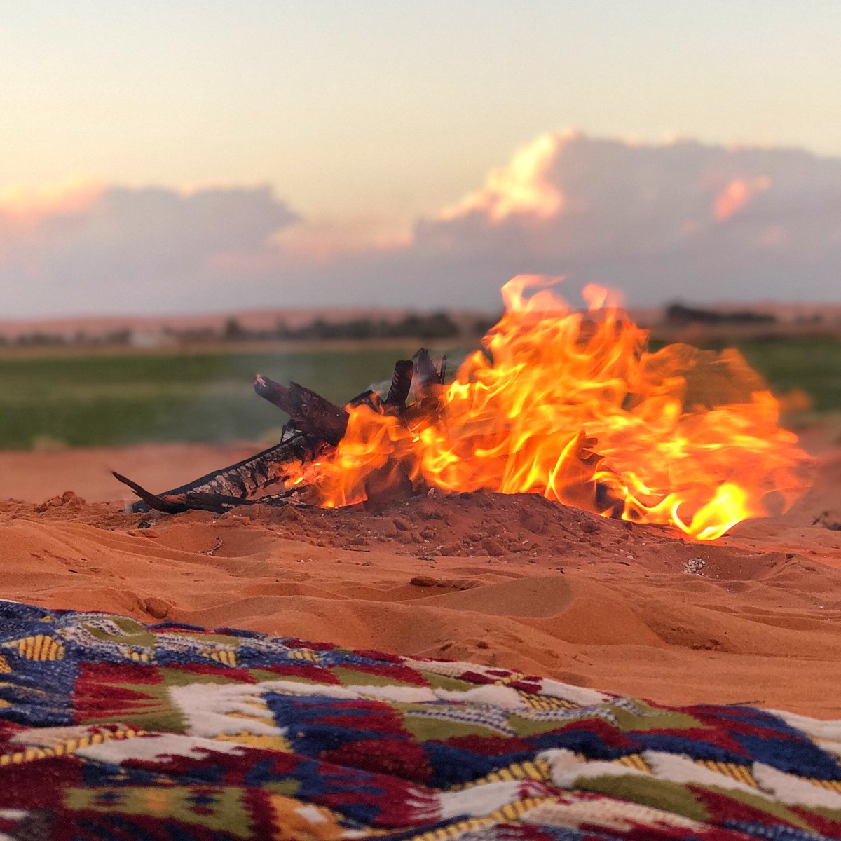 _mods7's tweet image. #اجمل_وافضل_مدينه_زرتها

حـايل ♥️♥️♥️