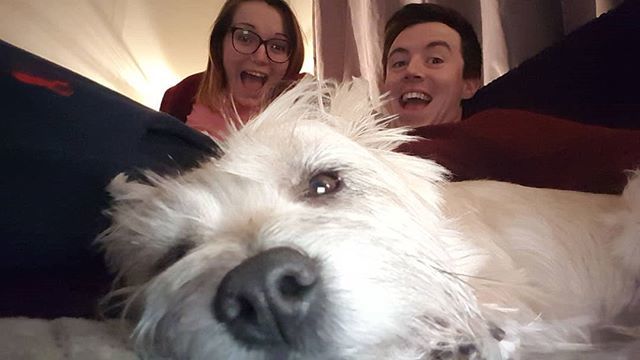 MeelaDog's tweet photo. Sunday night in with these two losers... they think theyre so cool. #sundaychills #leavemetowatchtv #dancingoniceison #cairnterrier #cairnstagram #theyembarrassme #terrierific #cairnsoftheworld #cairnsofinstagram #dogstagram #instadogs https://t.co/Agv083TTzE https://t.co/P2jo1f0f0P