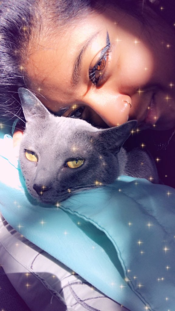 gishofic's tweet photo. My kitten is as bitchy as she looks but still cute ♥️ https://t.co/ciSZM4q4PR