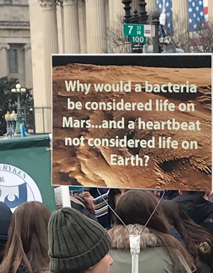 Mjhall412's tweet photo. #prolife
#RightToLifeMarch
#Innocents https://t.co/urPPEXusZd