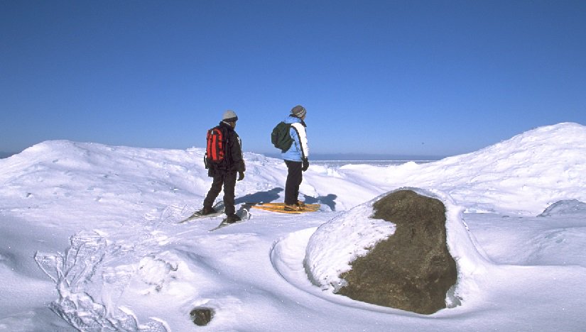 OntarioParks's tweet image. Exercise in nature has a more positive effect on blood pressure and mood than exercise in a gym. #HPHP