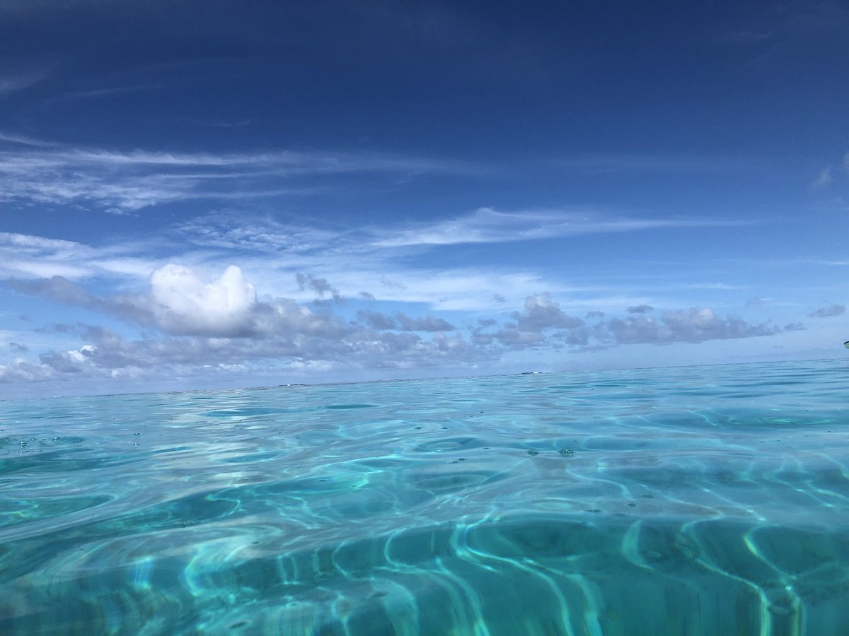 penehenson's tweet photo. I spent some time in Fiji writing a short future story for Into the Blue. Revisiting Tai and Ollie and Sunny and Hannah and Jaime and all that ocean🏄🏽‍♂️ 🌊 🌈💙 https://t.co/LjySoCgZQ0