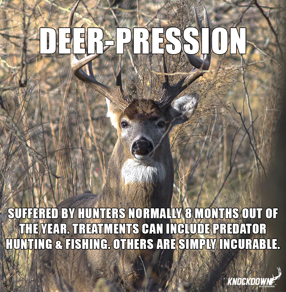 Knockdown Outdoors tweet media