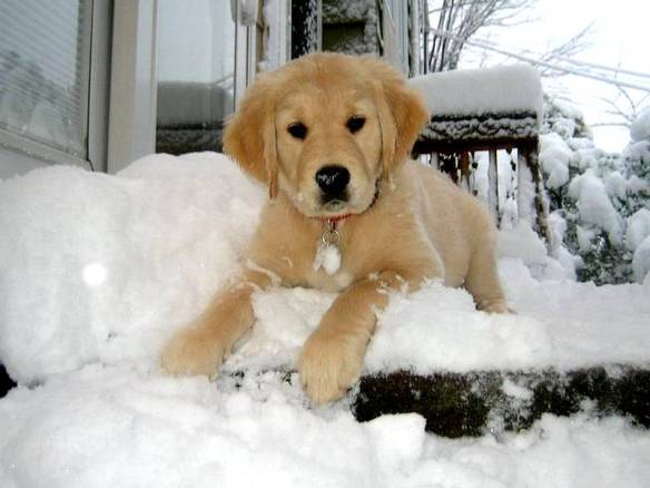 TamRuCa (@sapaheya) on Twitter photo 