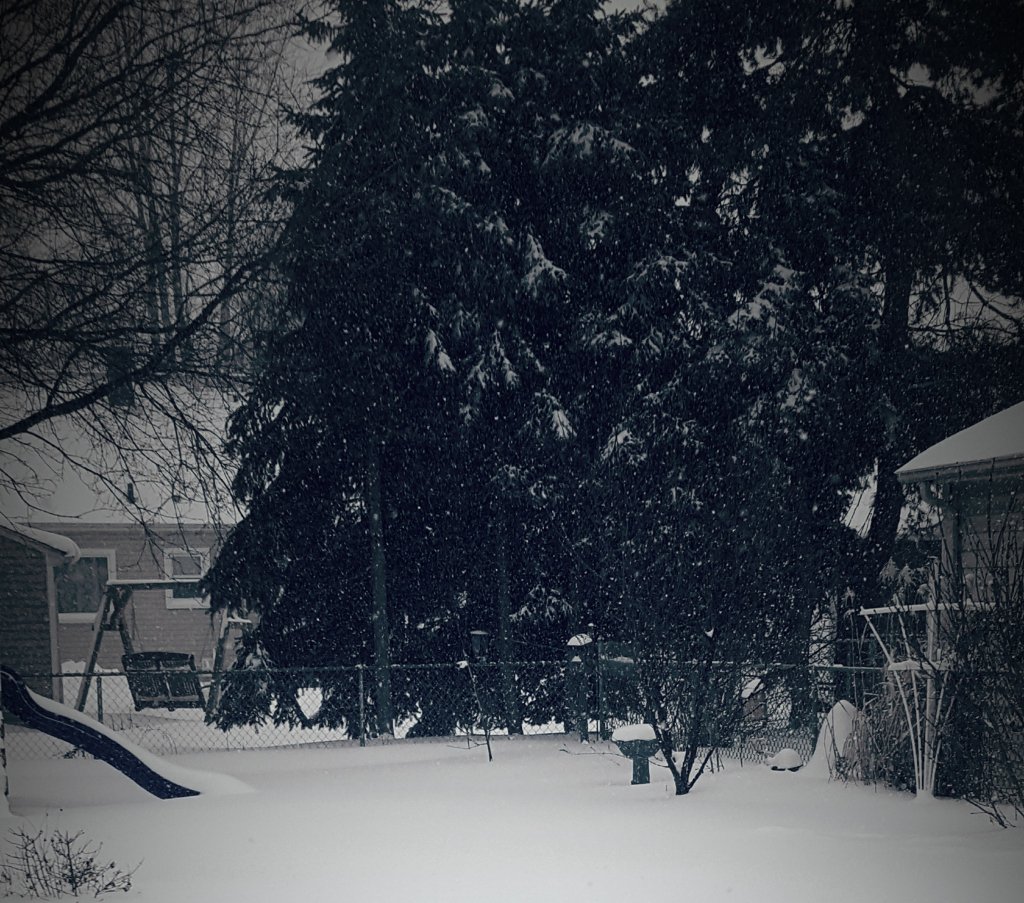 BentTrowel's tweet photo. It’s “snow” joke, we need winter for spring blooms! https://t.co/XkHbBMBqQh https://t.co/ScXGeGIdJE