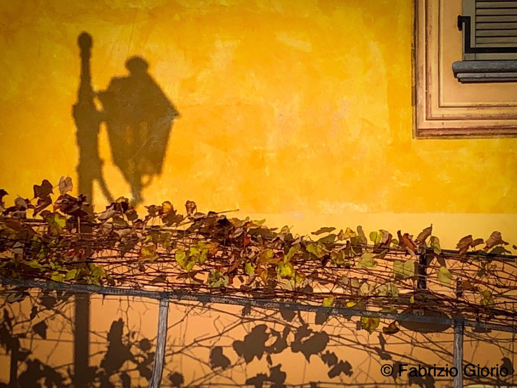 FabriGiorio's tweet photo. Dettagli di #langa @regionepiemonte https://t.co/Nfae8Dqlw7