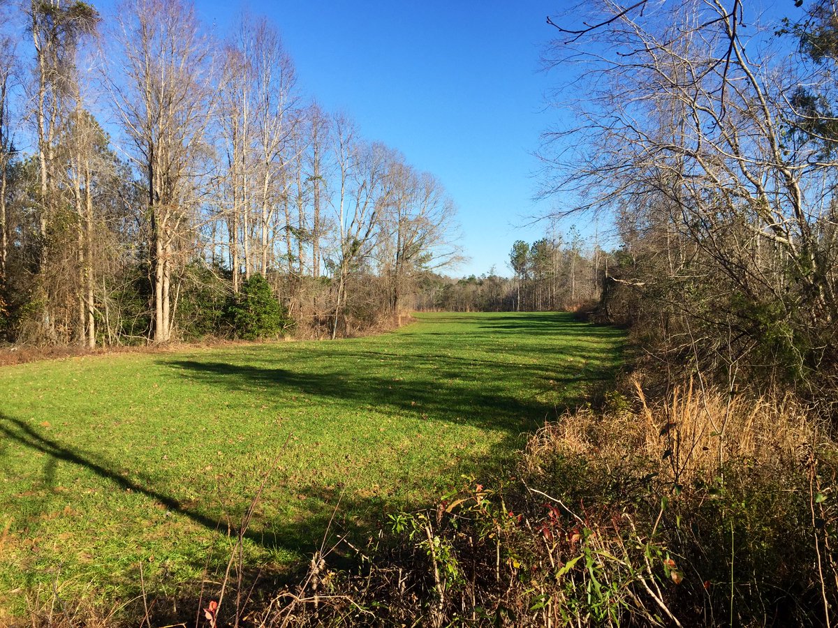 RyanCFowler's tweet photo. Happy Sunday afternoon, little cold (39F) but the temp should pay off with a good hunt
#SweetAlabama https://t.co/0c0JOrI100