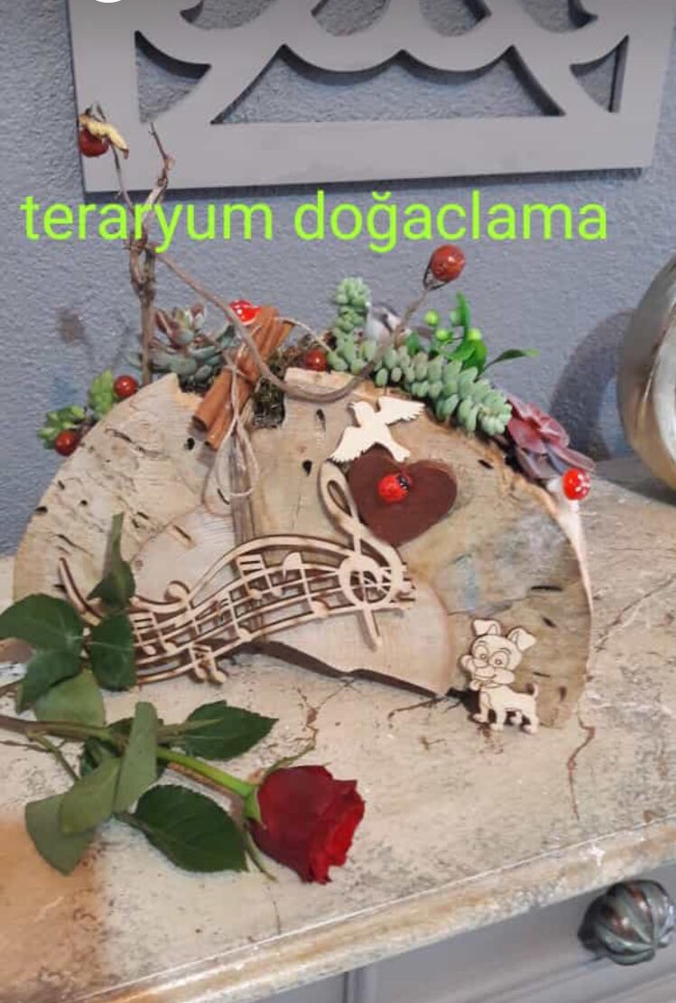 #Lewentflowers #teraryum #sanat #tasarım