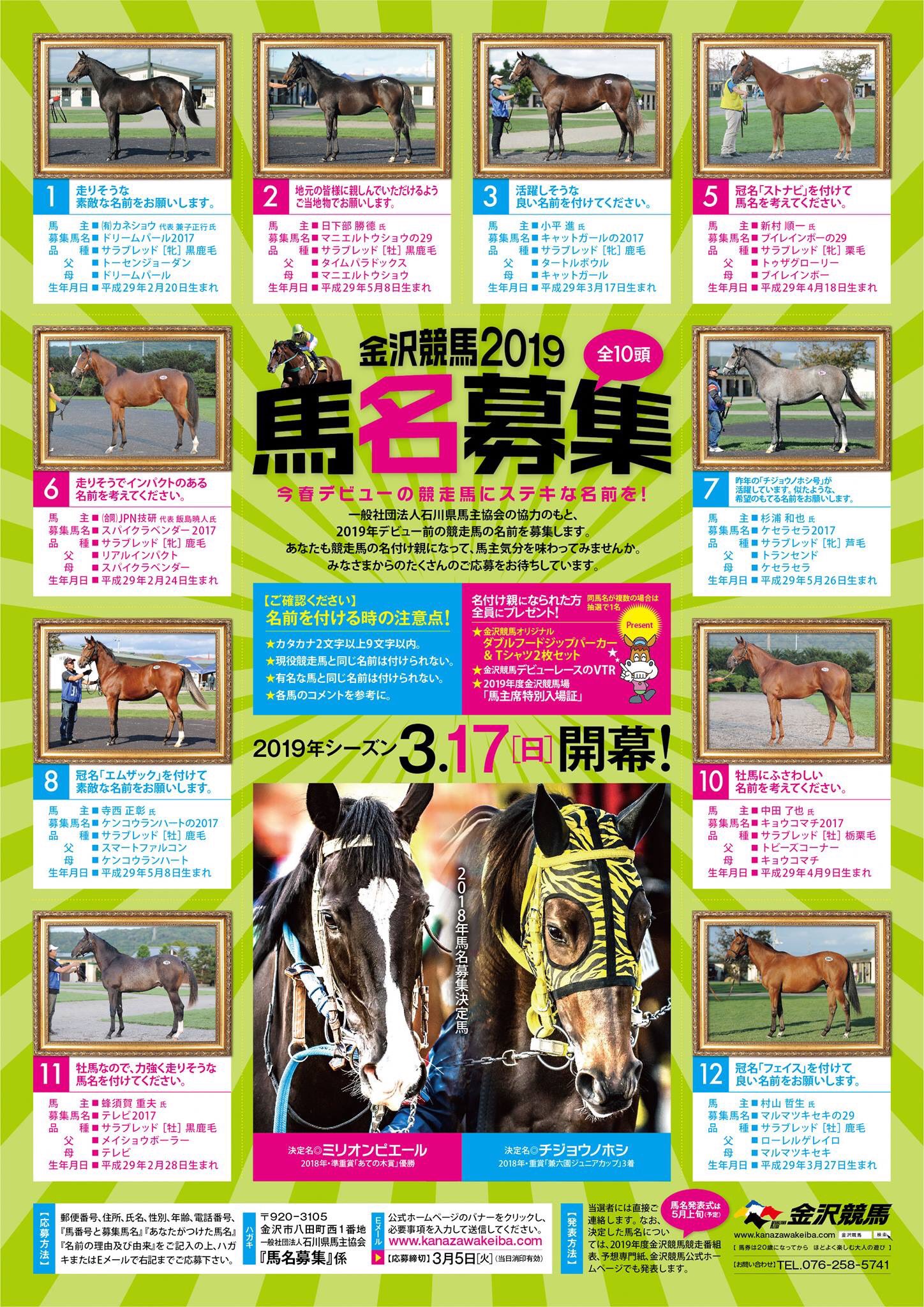 馬名募集 Twitter Search Twitter