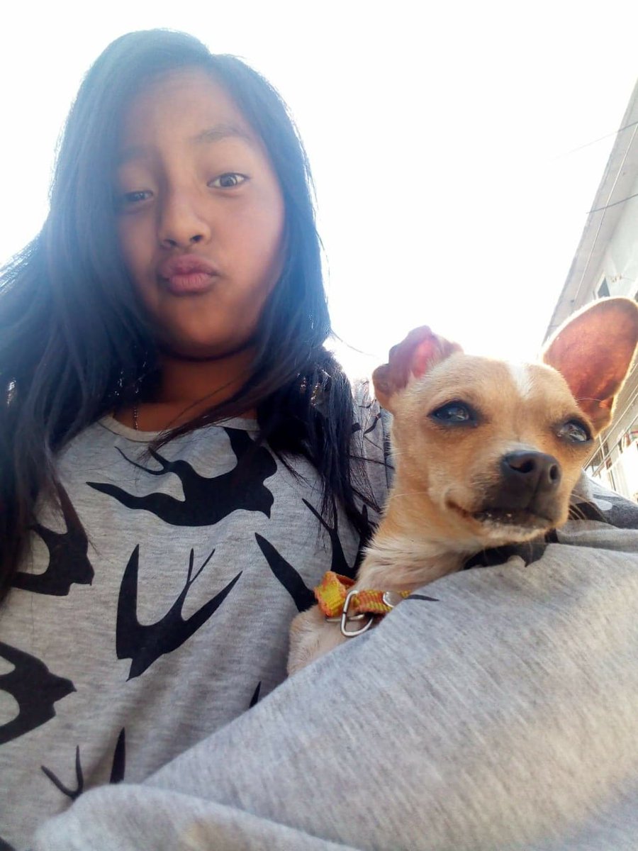 sabinacortes's tweet photo. Compartir es de San Sebastián, salió hoy de su casa, aprox a las 9, en compañía de una perrita su mamá la reportó a la policía no pueden hacer nada hasta que se cumplan las 24hrs,.Vestía Pantalón cremita blusa gris trae a una perrita tiene 11 años Se llama Britany Jazmin Flores M https://t.co/HjLQHROJa5