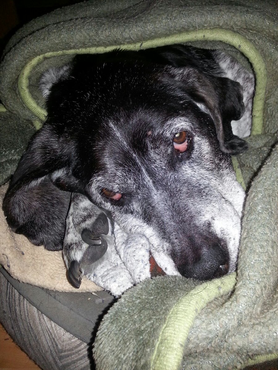 MpCrossbow's tweet image. Hey baby....it's cold outside!!!!