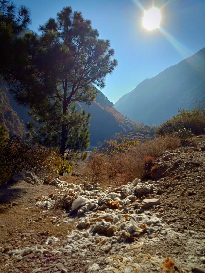 ~~Success is to wake up each morning and consciously decide, today will be the best day of my life~~
#MondayMotivation #positivestart #allthatisgood #goodvibes #positiveenergy #morning #HimachalPradesh #sunshine