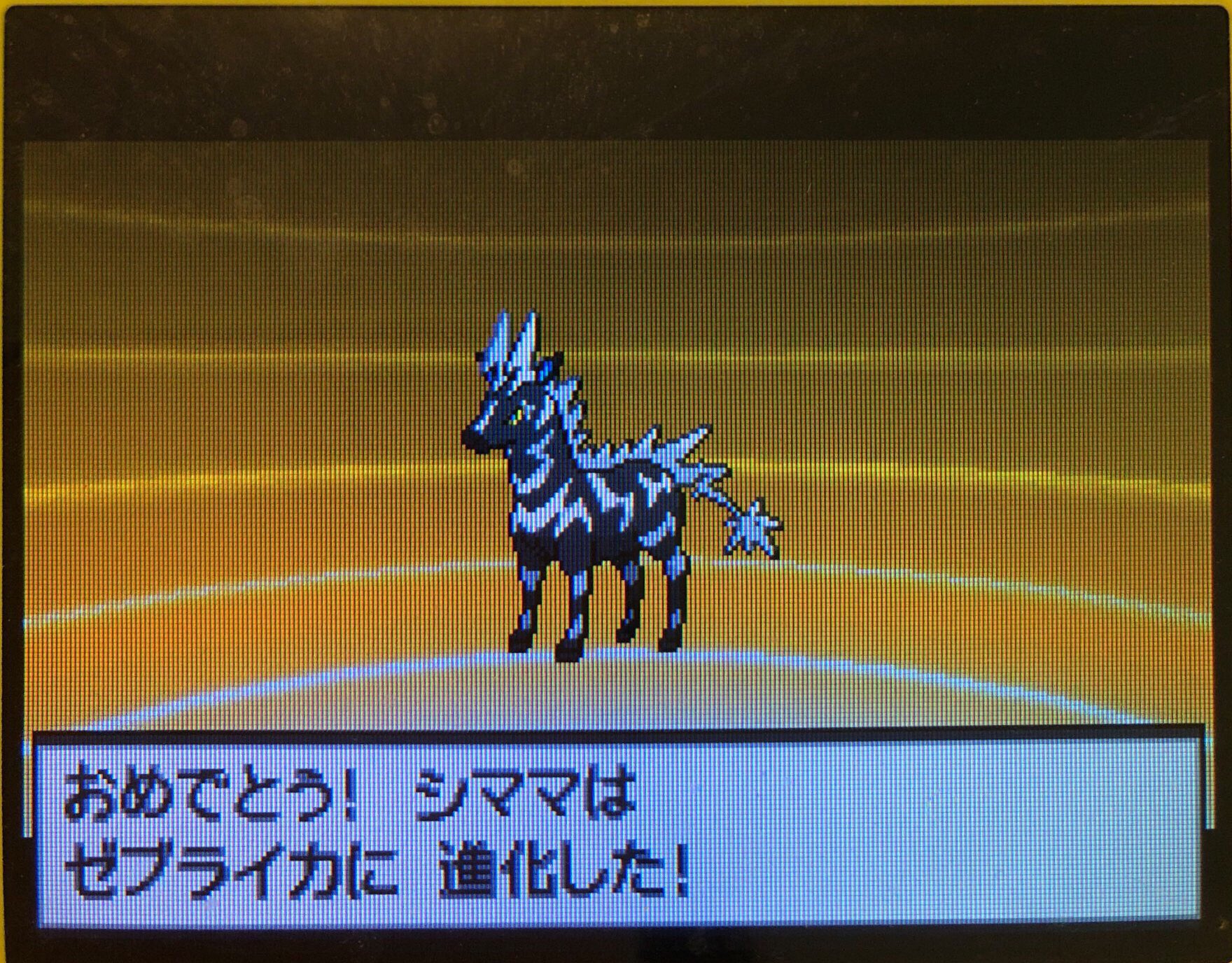 13 ライモンシティに着いた その1 ピクミン マリオ ドラクエ Ff ポケモン日記