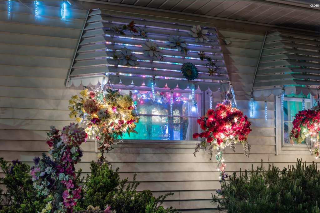 FlowerHouseRes's tweet image. Like It--Or Not?