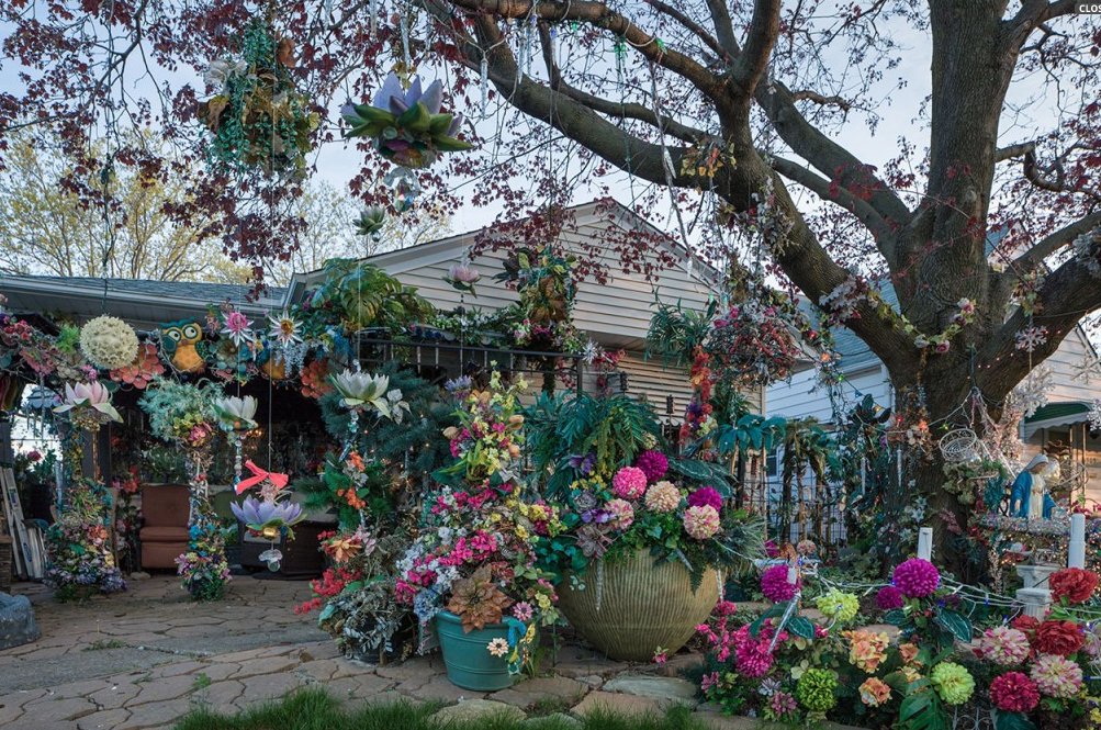 FlowerHouseRes's tweet image. Like It--Or Not?