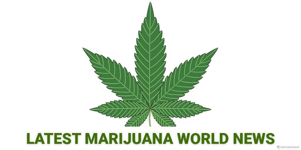 Visit our Informative #Cannabis blog and our #Marijuana Breaking News wu.to/yPWfPp