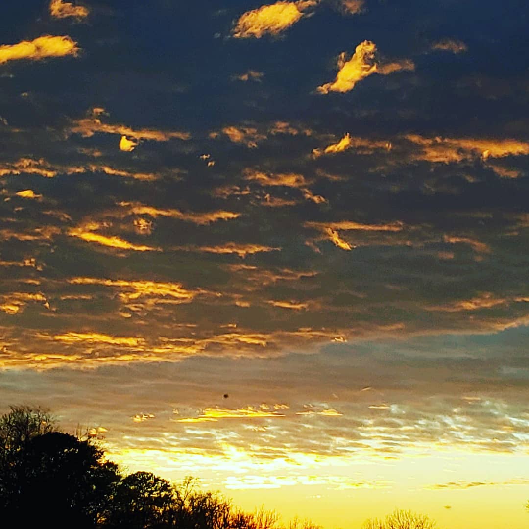 Words can't describe this beauty ♥️♥️♥️♥️