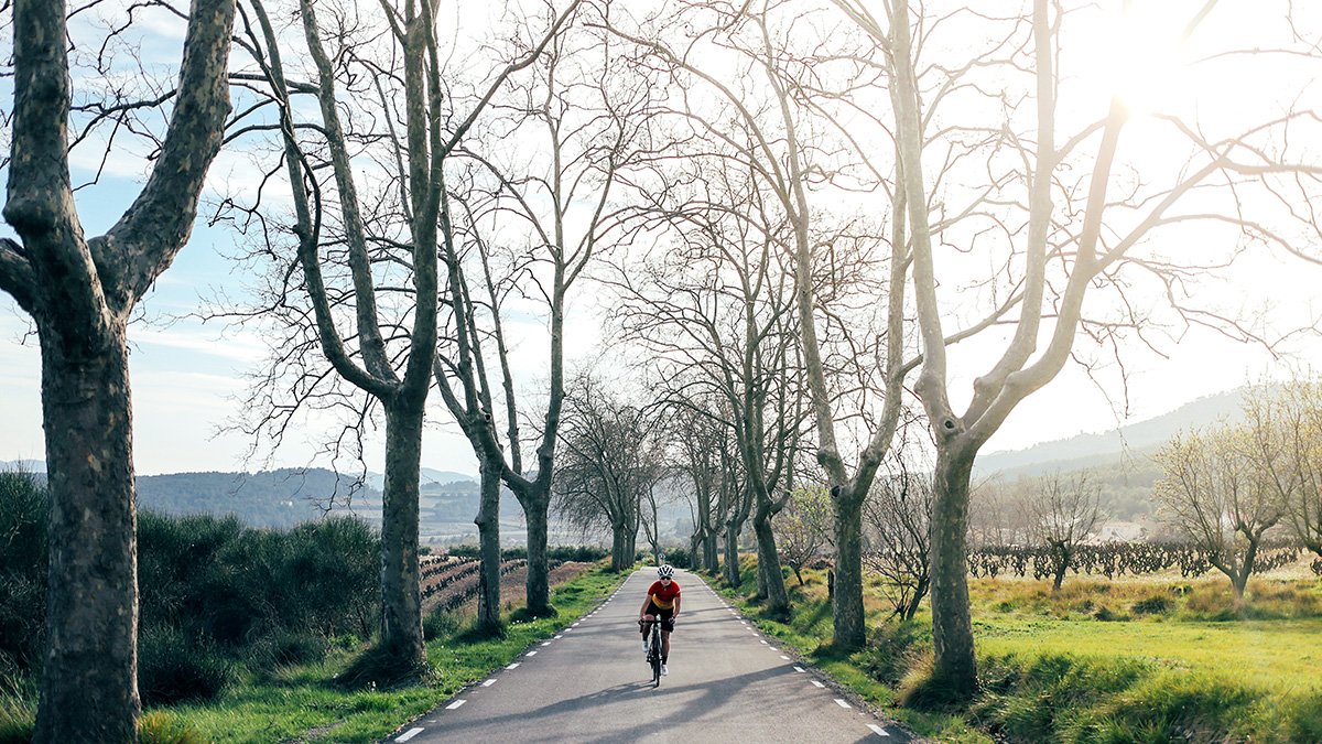 TrainingPeaks's tweet photo. Learn about how muscle oxygen saturation or SmO2 is affected by different types of training: https://t.co/y5MoyJs6F3 #fitness #workoutmetrics #cycling https://t.co/eg61WMIJKe