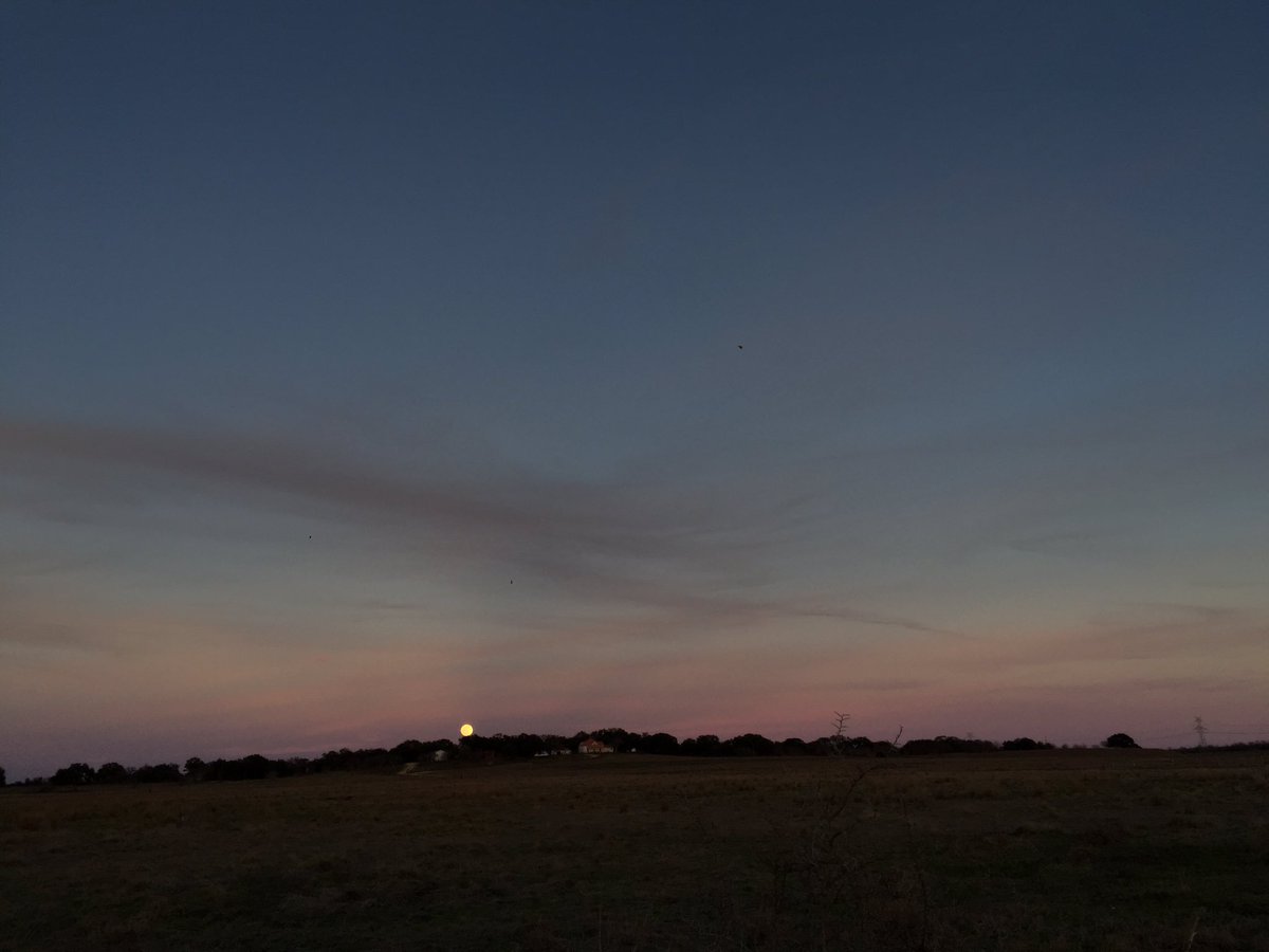 Edfleet75's tweet photo. #bloodmoon #SuperBloodWolfMoon
Fire in the sky
#bloodsunset #texas #sunset https://t.co/DGJRIxLn3Z