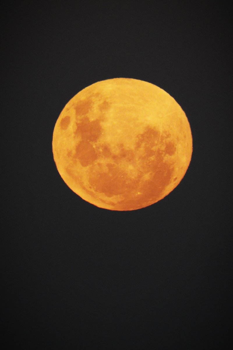 #FenomenosTn Luna asomando en Rocamora, Entre Ríos.