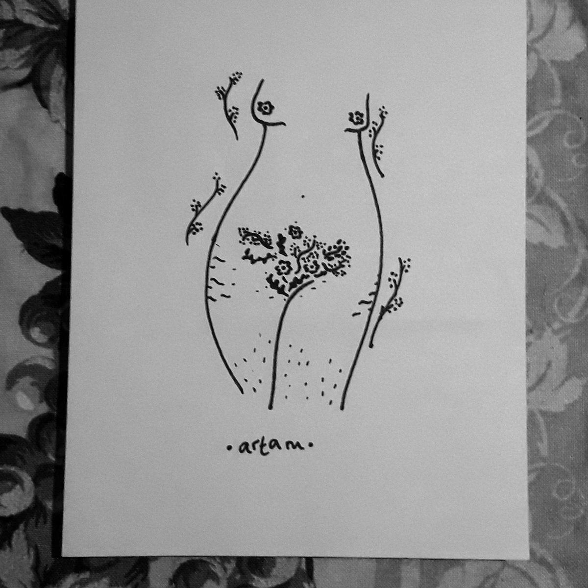 tamperex's tweet photo. Hoy fui a ver a mi abuela y me regalo una plantita de la que me enamoré. Y esto salió recién despues de regarla, ojalá esté floreciendo yo también 🌺 #artam https://t.co/9VBlQXYJzD