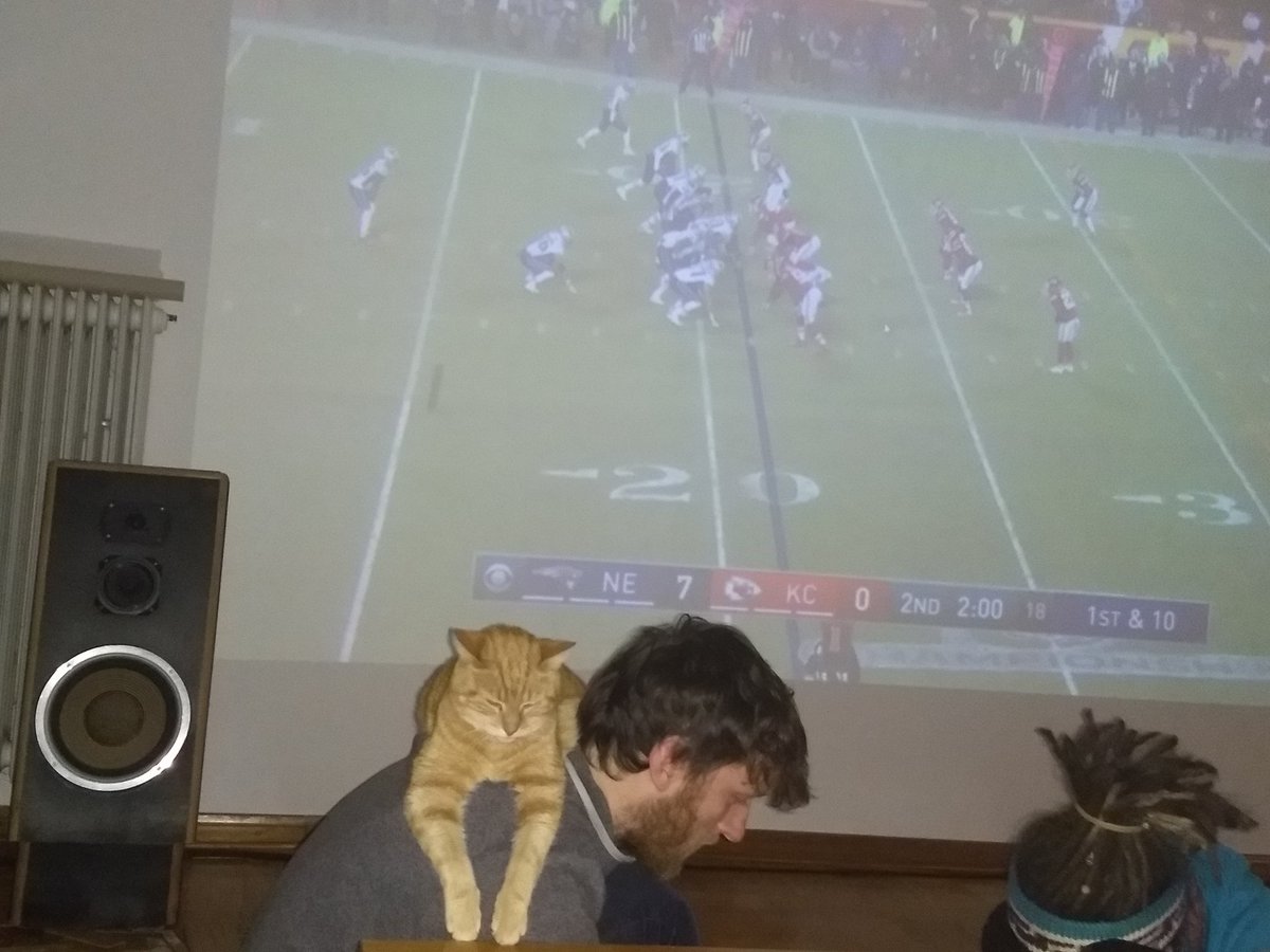 Mit dem Kater lässt sich notfalls auch ein Sieg der Patriots aushalten. #ranNFL #ranNFLsuechtig