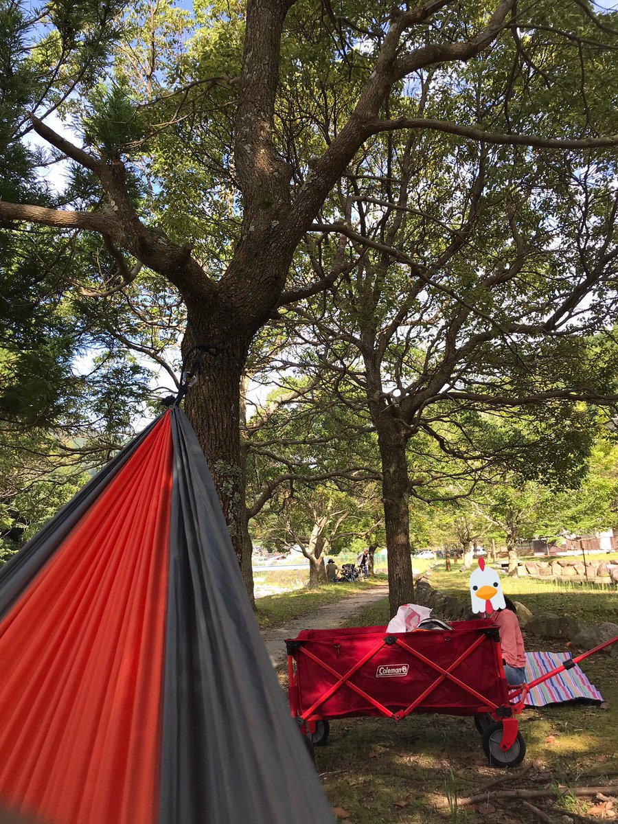 Chelsea ケシュア 名前忘れたソロ用テント ポップアップテントが有名なケシュア とにかく安い 確か3000円程度 収納すると写真の椅子より小さくなる 直近のソロはこればかり でもちょっと狭すぎるんだよなー 来月これで行こうかなー