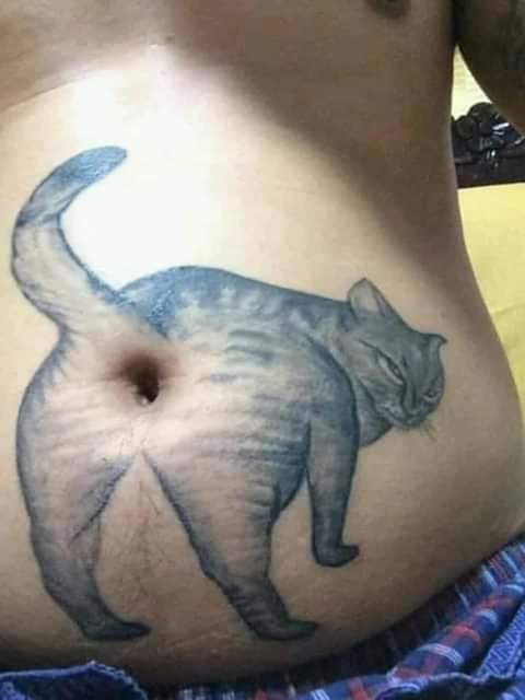 bangjikan's tweet photo. Kucing garong https://t.co/eVscB50RNV