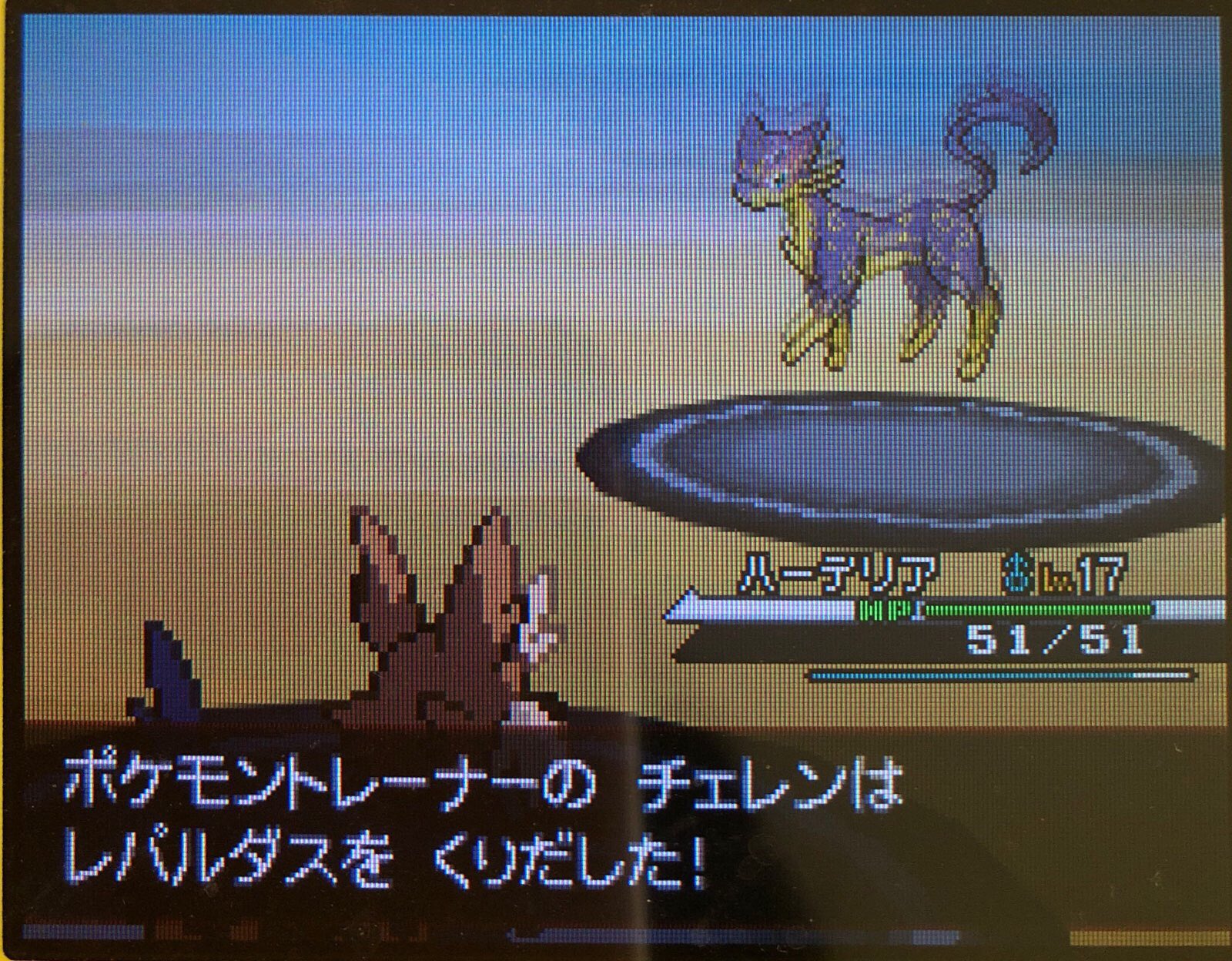 13 ライモンシティに着いた その1 ピクミン マリオ ドラクエ Ff ポケモン日記