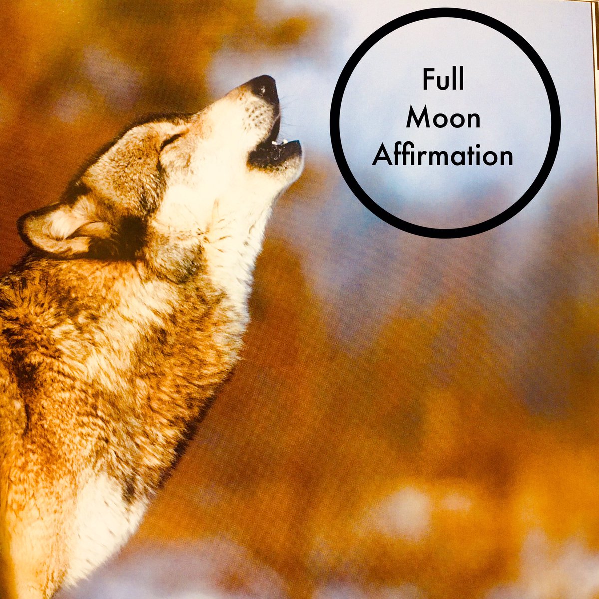 ninamillin's tweet photo. #FullMoonAffirmation
https://t.co/ogVLUt3oIS https://t.co/BRm6KytIXs