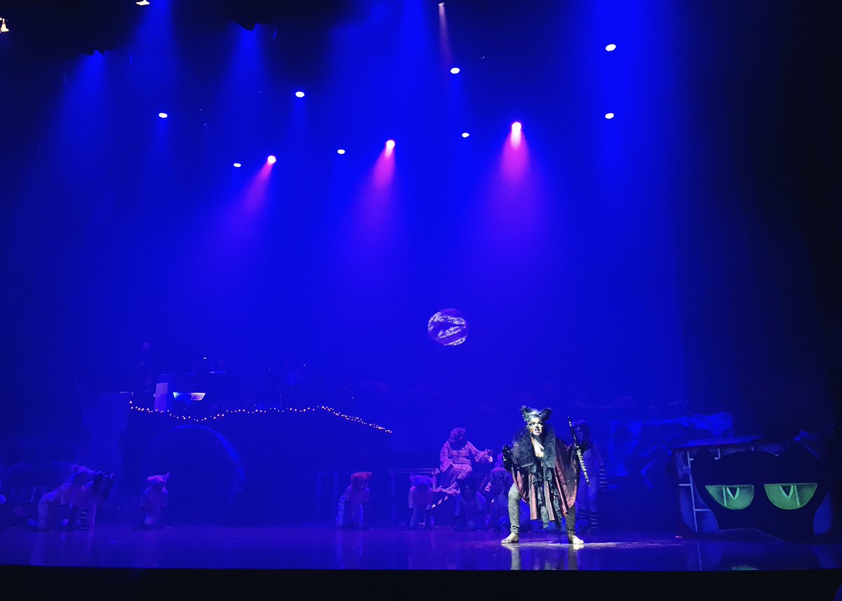 LaSoireeFunBar's tweet photo. Éxito de la obra Con gAToS en escena en el Teatro de la Ciudad en Playa del Carmen. 

#PlayaDelCarmen #teatro https://t.co/TLgMMSnTLF