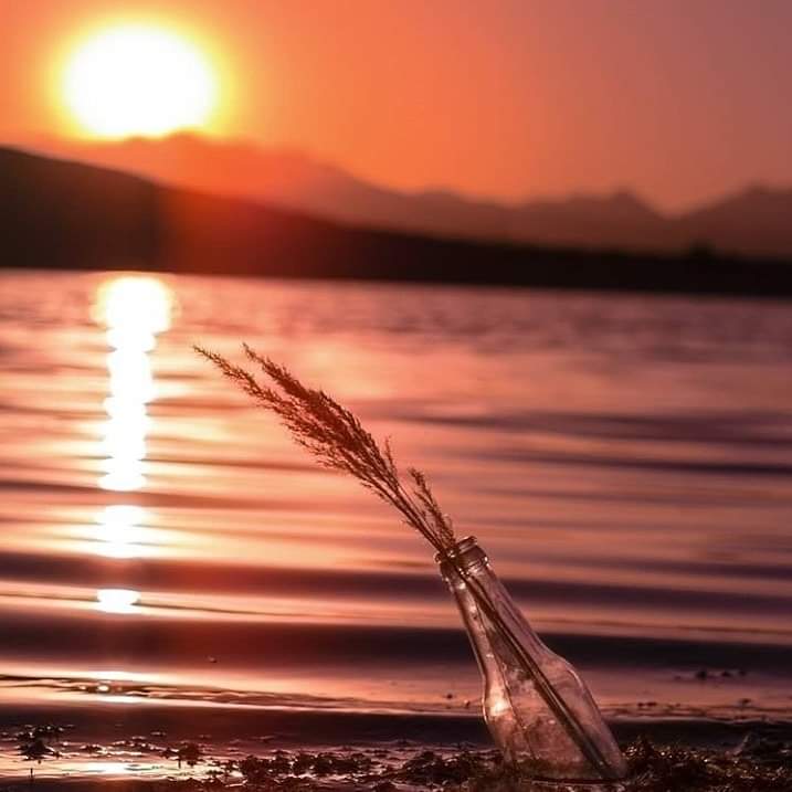 사람은
누구나
자기가 할수 있다고
생각하는 것
이상의 것을
할수 있습니다.
-헨리포드-