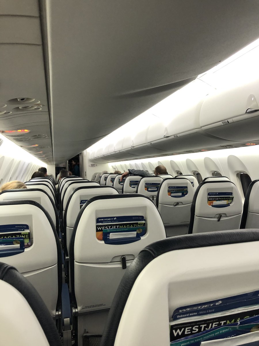 Hosna Jabbari tweet media