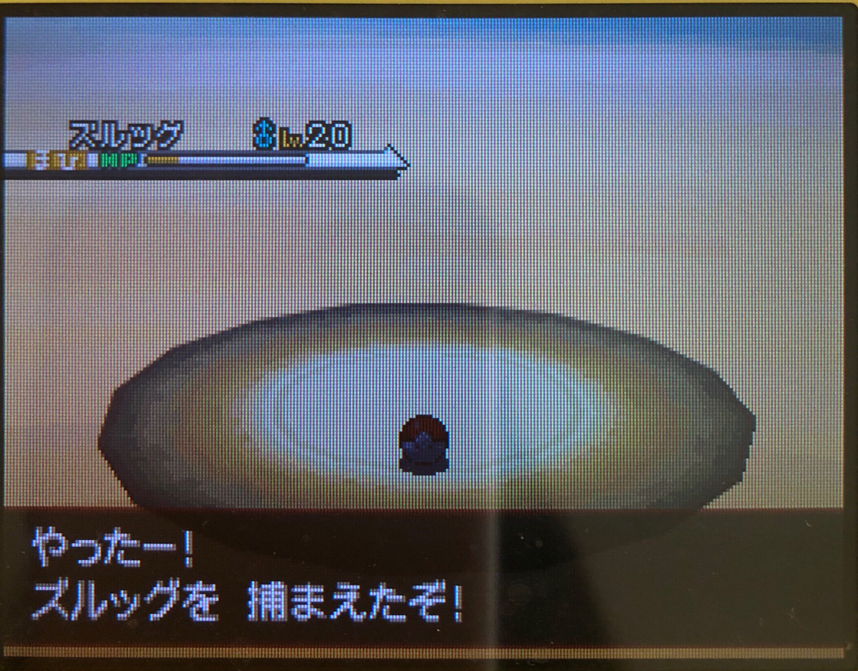 13 ライモンシティに着いた その1 ピクミン マリオ ドラクエ Ff ポケモン日記