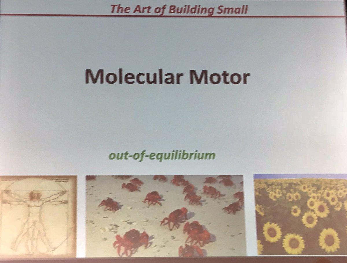 Ben Feringa @univgroningen is talking about the beauty of the molecular world by working on fundamental science and pushing molecules out of equilibrium. He advocates discovering our talents and following our dreams. #GYSS2019 @gyss_sg