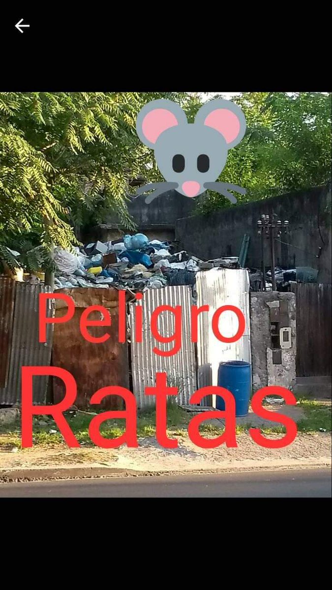 QuilmesLimpio's tweet photo. ♻Foro Social para un Quilmes Limpio y su columna "VECIN@S DENUNCIAN!", agradecen al portal de noticias "Vecinos Bernal", por contribuir en la difusión de ésta parte de la problemática por la que atraviesa actualmente nuestro distrito.♻
https://t.co/wP5mxiDSqD https://t.co/EdJsjfhngP