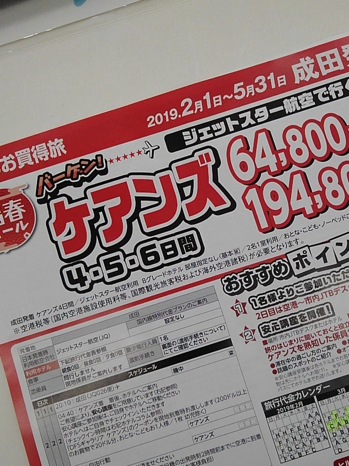 コスモツーリスト 公式 海外旅行 情報 コアラ に会いに行く 成田 ケアンズ5日間 3 2 3 4 3 6 3 7 空席 あります コスモツーリスト 卒業旅行 オーストラリア ケアンズ お問い合わせはお早めに T Co