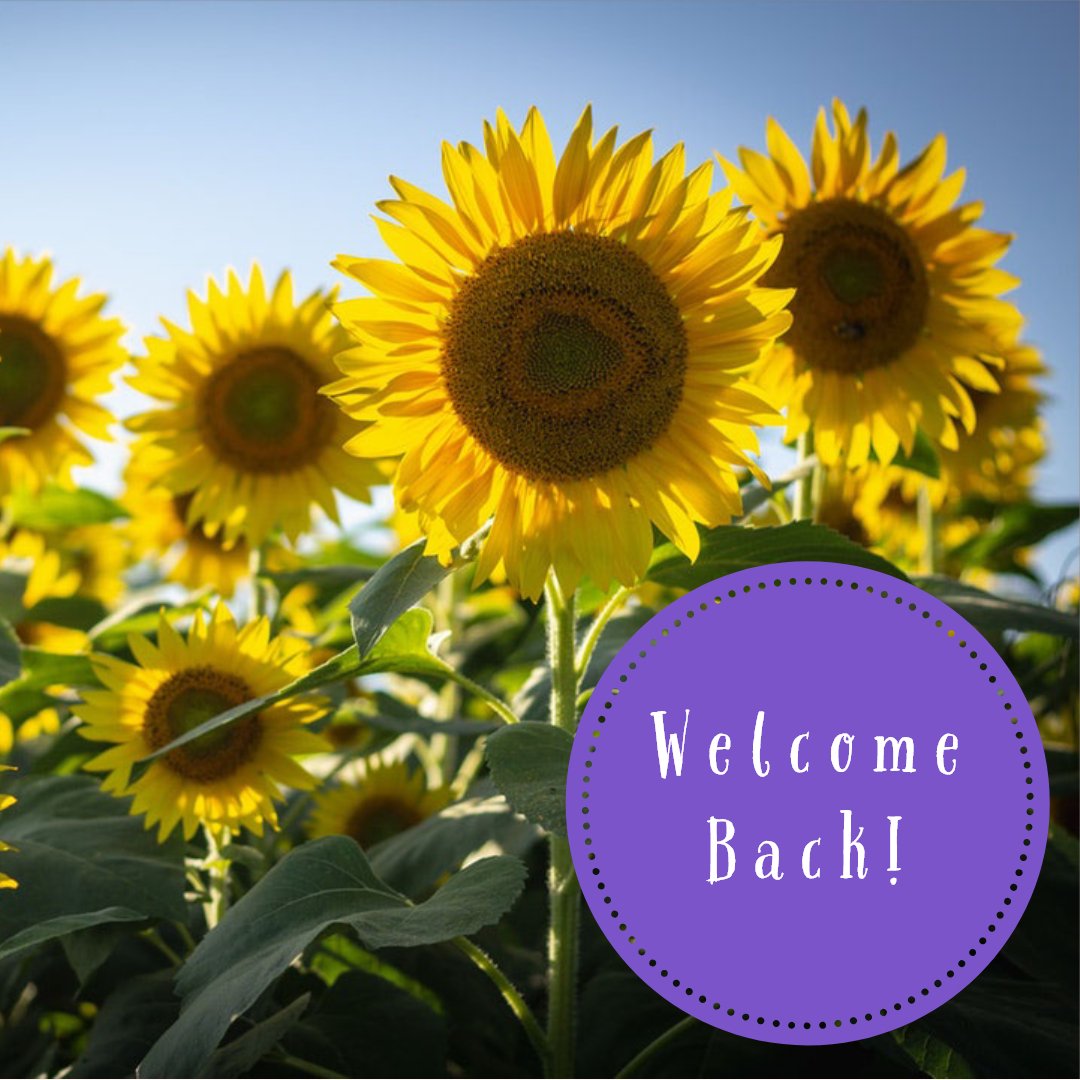 ksusigmaalpha's tweet photo. Welcome back to school! We hope everyone has a great first week, stay warm. We are missing summer weather. #sigmaalpha https://t.co/UWY28IvLd5