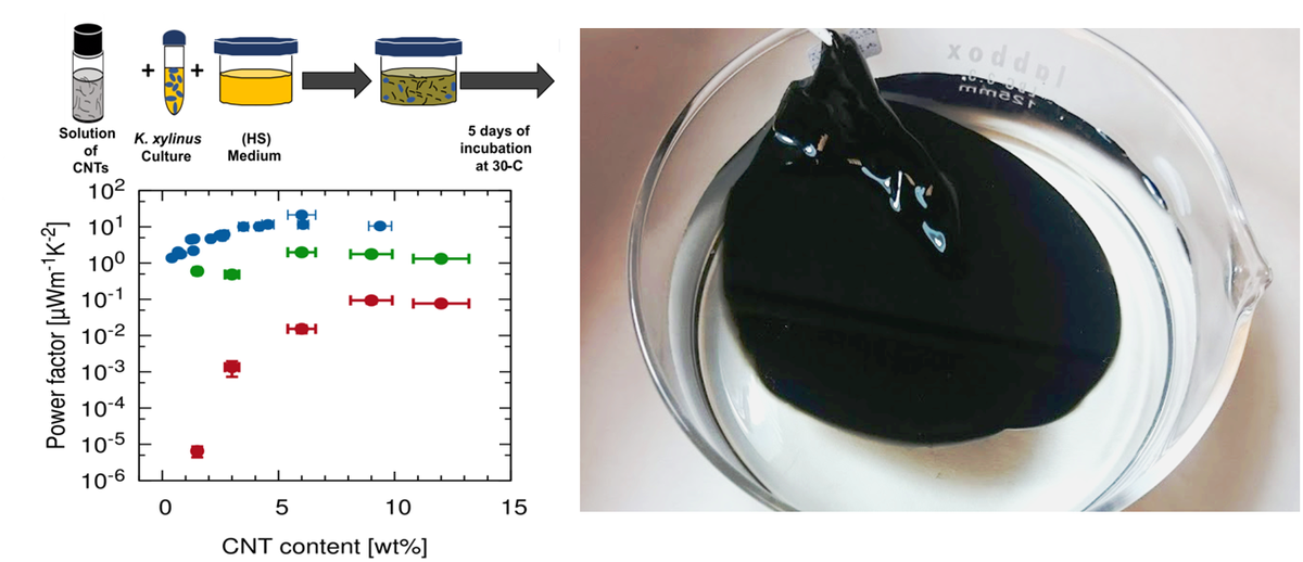 NNgroupICMAB's tweet photo. Our new article in collaborations with the #NanOpto group “Farming #thermoelectric paper” is already available at @RSCEnergySector!  Congratulations to all the authors for this #multidisciplinar work!

#bacterialcellulose #publication https://t.co/tIKJfsLJmJ
